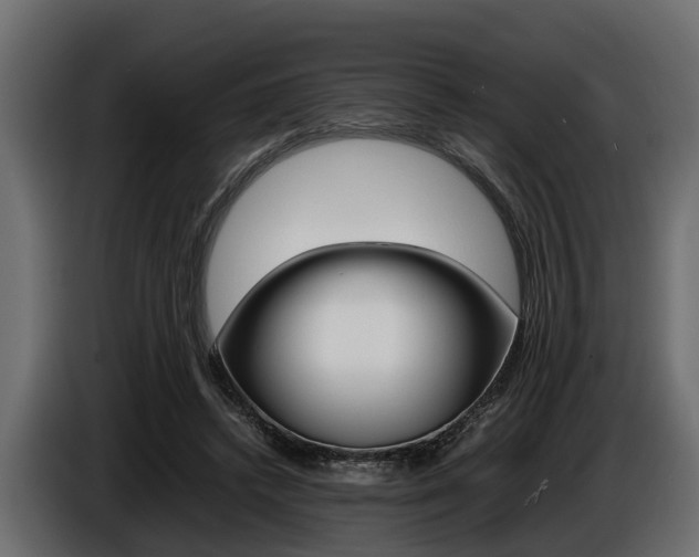 X0000086720448200704130731