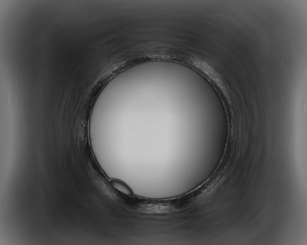 X0000086720449200704130731