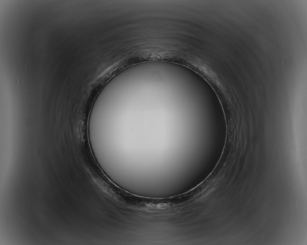 X0000086720450200704130731
