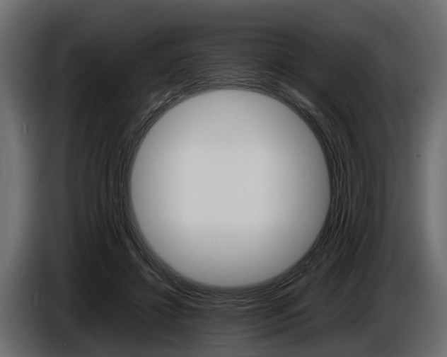 X0000086720452200704130731