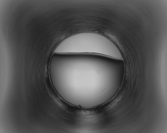 X0000086720453200704130731