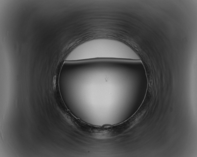 X0000086720454200704130731