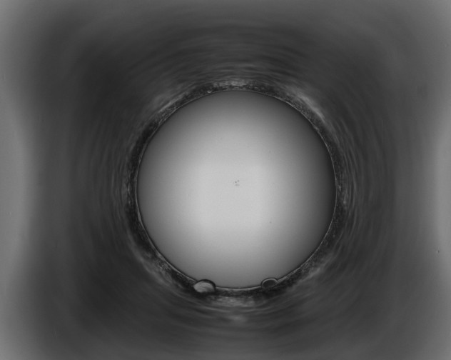 X0000086720455200704130731