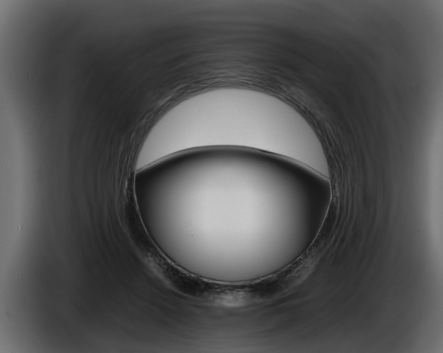 X0000086720456200704130731
