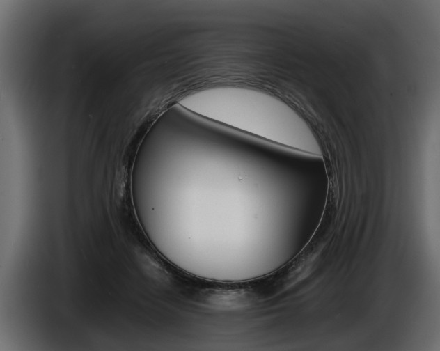 X0000086720458200704130731