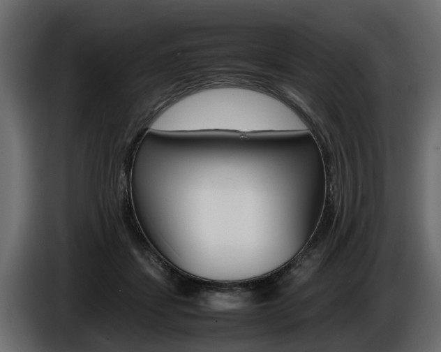 X0000086720459200704130731
