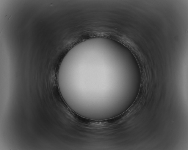 X0000086720465200704130731