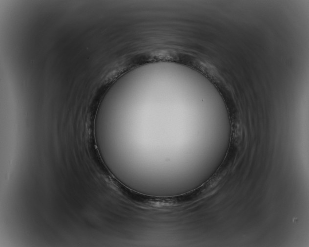 X0000086720466200704130731
