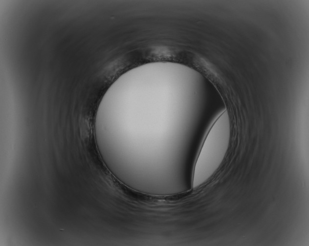 X0000086720467200704130731