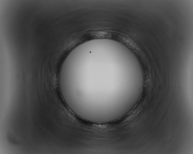 X0000086720469200704130731