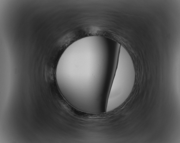 X0000086720470200704130731