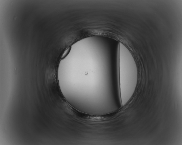X0000086720473200704130731