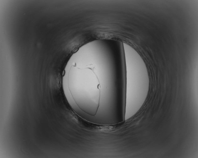 X0000086720474200704130731