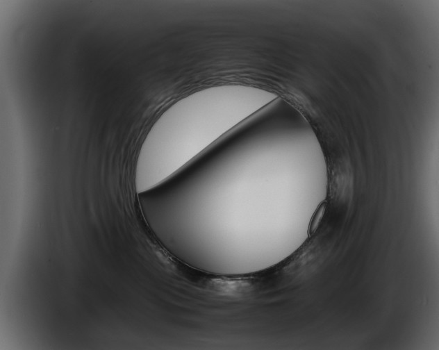 X0000086720477200704130731