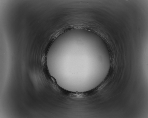 X0000086720478200704130731