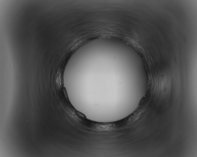 X0000086720479200704130731