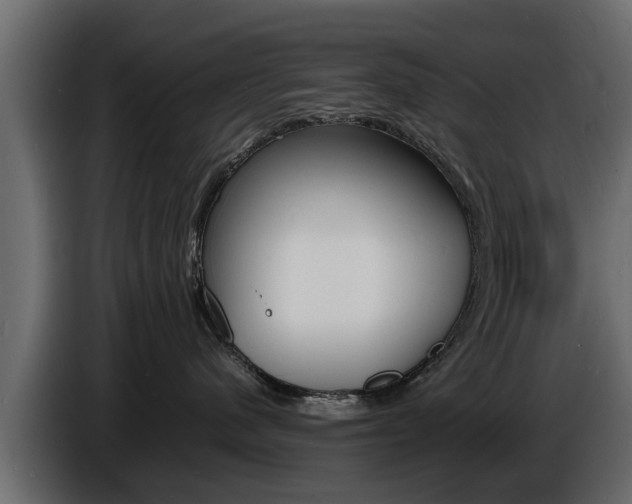 X0000086720480200704130731