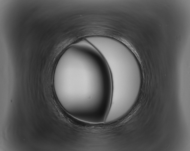 X0000086720481200704130731