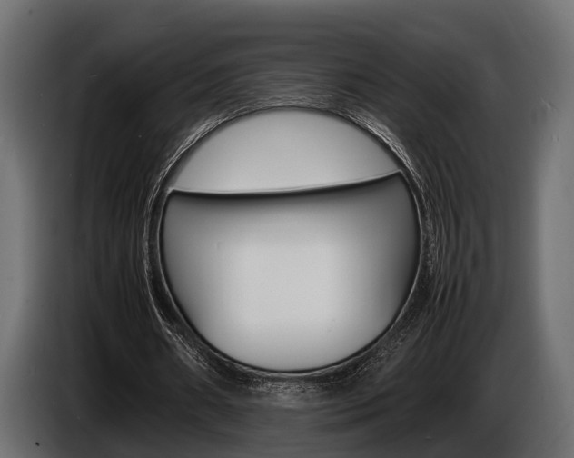 X0000086720482200704130731