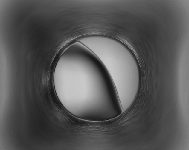 X0000086720483200704130731