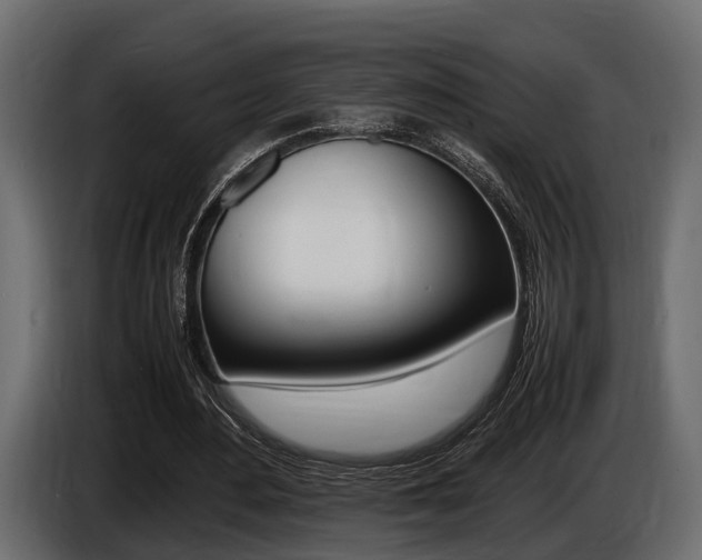 X0000086720484200704130731