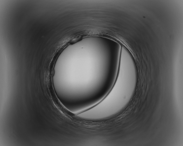 X0000086720485200704130731