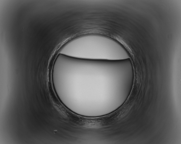 X0000086720486200704130731