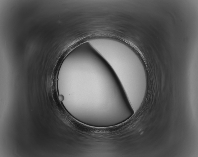 X0000086720487200704130731