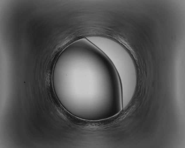 X0000086720489200704130731