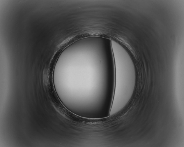 X0000086720492200704130731