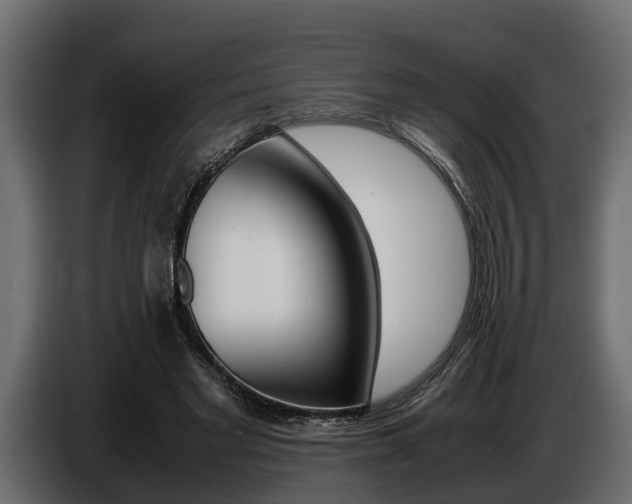 X0000086720493200704130731