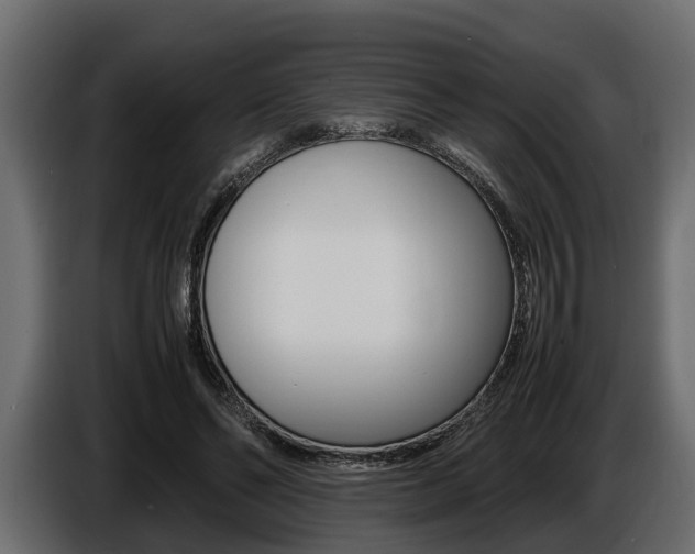 X0000086720494200704130731