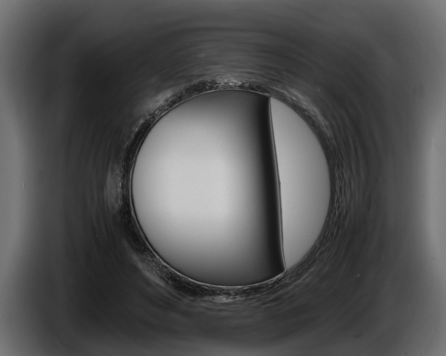 X0000086720496200704130731