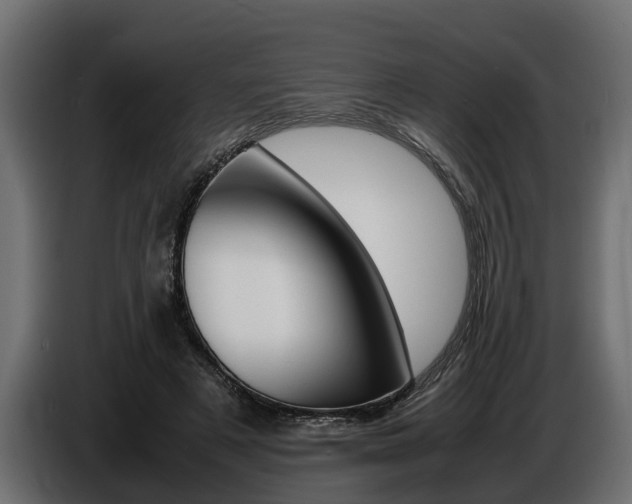 X0000086720497200704130731