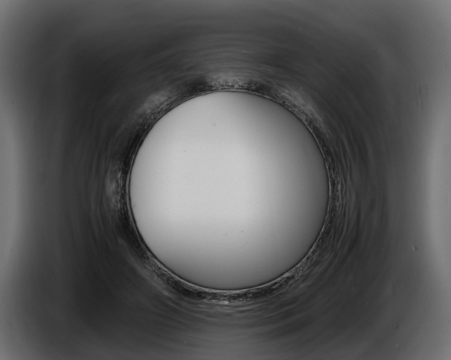 X0000086720498200704130730