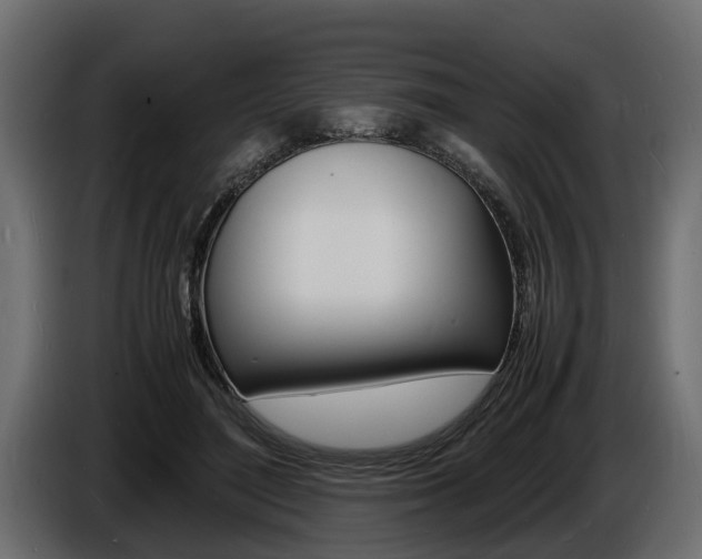 X0000086720500200704130730