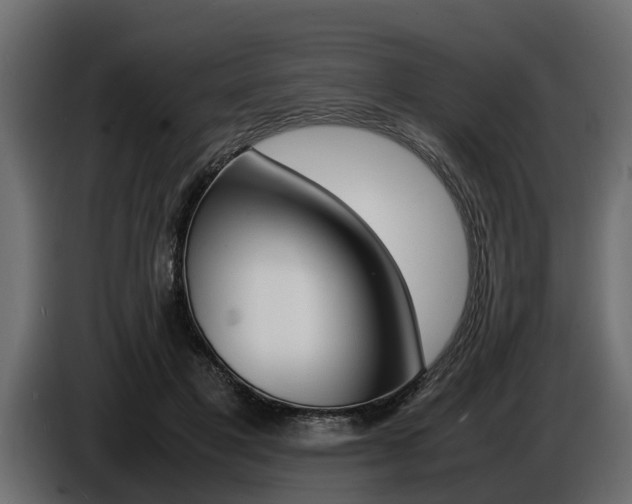 X0000086720501200704130730