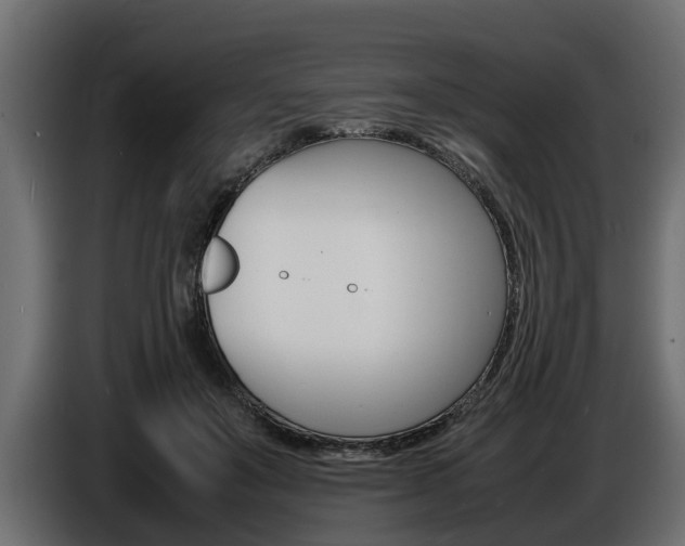 X0000086720503200704130730