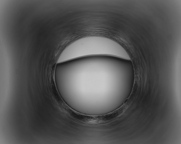 X0000086720504200704130730
