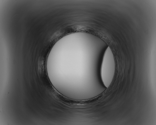 X0000086720506200704130730