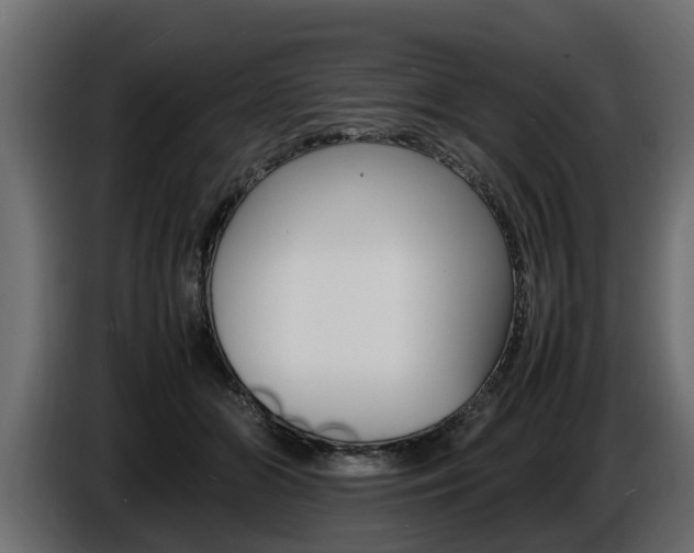X0000086720510200704130730