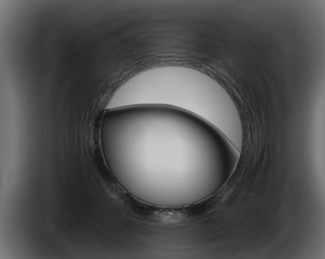 X0000086720512200704130730