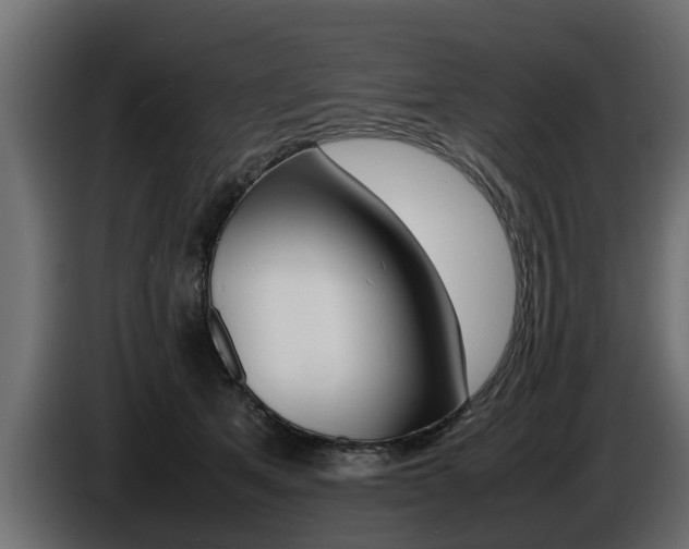 X0000086720513200704130730