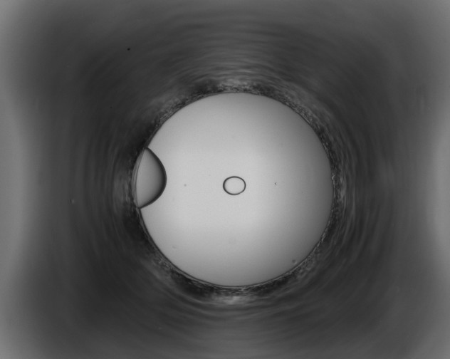 X0000086720514200704130730