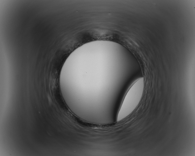 X0000086720515200704130730