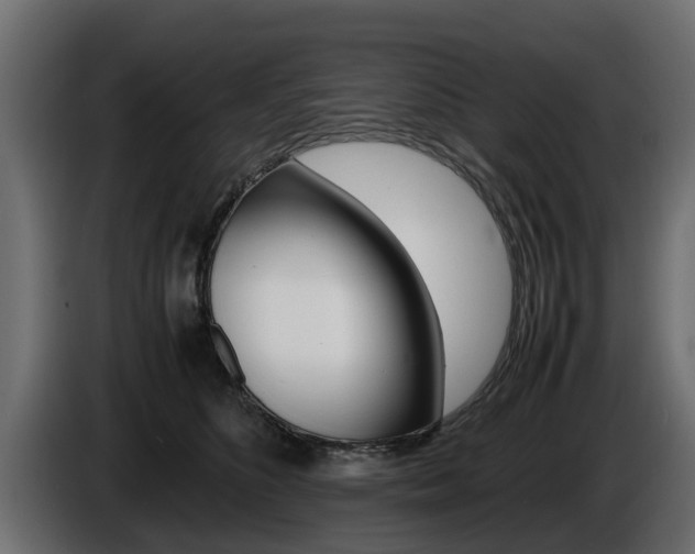 X0000086720516200704130730