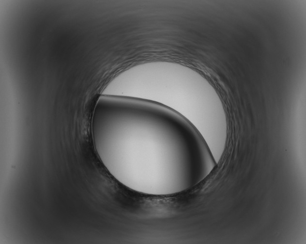 X0000086720517200704130730
