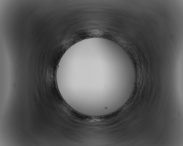 X0000086720518200704130730