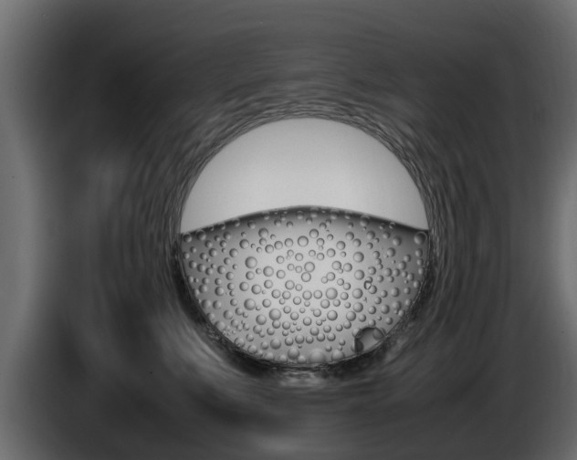 X0000086720519200704130730