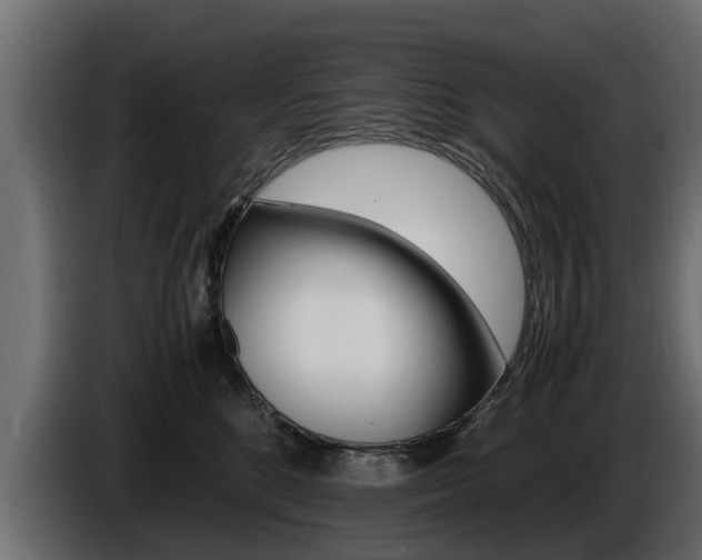 X0000086720520200704130730